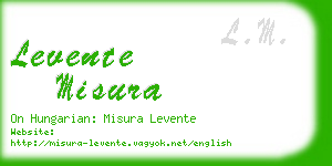 levente misura business card